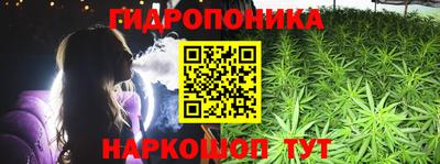 гидра Волжск