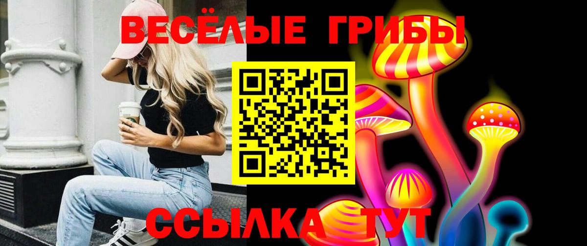 Псилоцибиновые грибы мицелий Солнечногорск