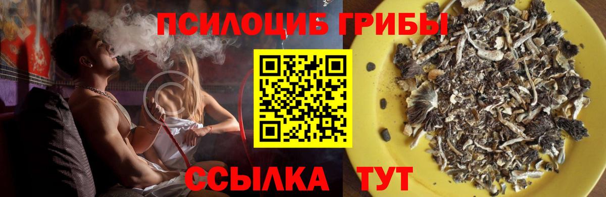 Галлюциногенные грибы Magic Shrooms  Вход с VPN  Псилоцибиновые грибы GOLDEN TEACHER  Солнечногорск 